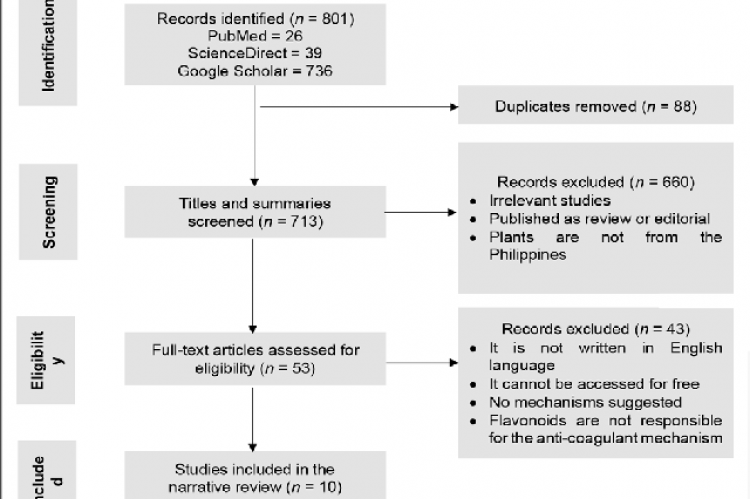 Flowchart of the study selection process