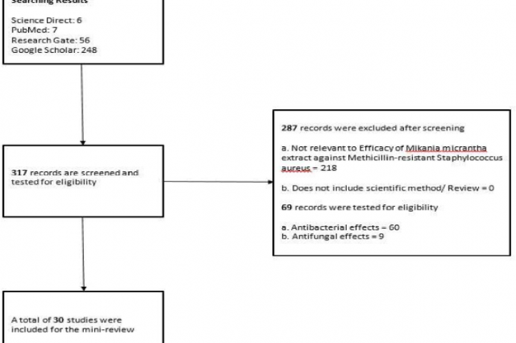 Flow diagram of the study selection process