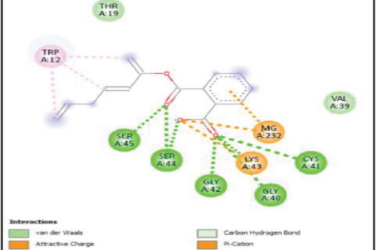 2D Image of Thiorphan interactions with the protein