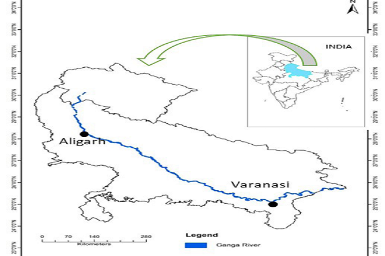 Specimen sampling was done from the districts of Aligarh and Varanasi from the river Ganga in the northern part of India.