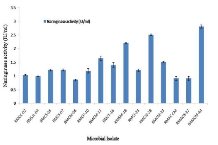 Naringinase activity of different bacterial isolates screened for naringinase production.