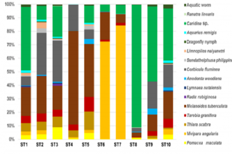 Macroinvertebrates species composition and abundance in selected sampling stations in Lake Mainit, Philippines.