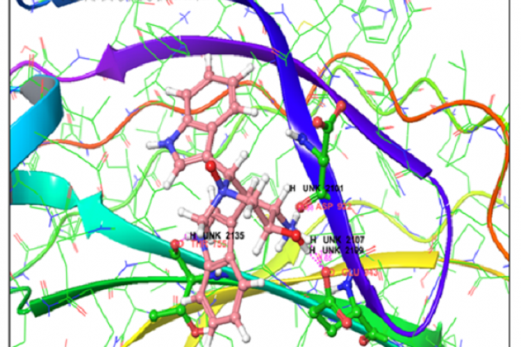 Interaction profile of highly interacting compound with PKC ε protein obtained through molecular docking with core hopping method