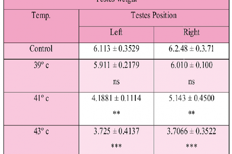 Testes  weight (mean ± SD)