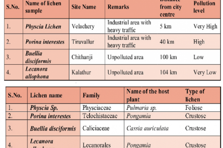 Determination of Toxic Heavy Metals in four Different Lichen Species of Tamil Nadu, India