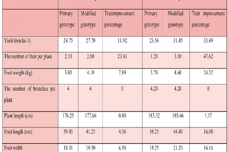 Agronomic traits of Khatooni genotype of melon after one and two period selection