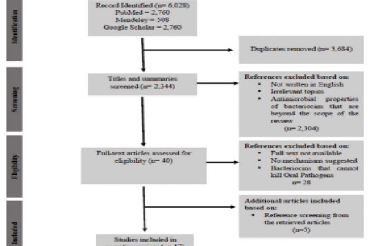 Flow Chart of Study Selection Process