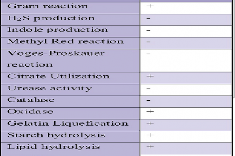 Selected biochemical tests of isolate after 48 hours of incubation at 37±0.5ºC.