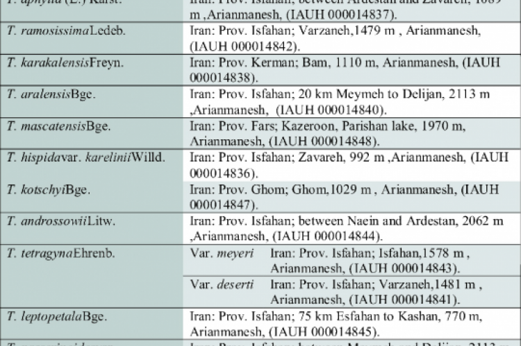 List of taxa investigated in our analysis and herbaria where the vouchers are deposited.