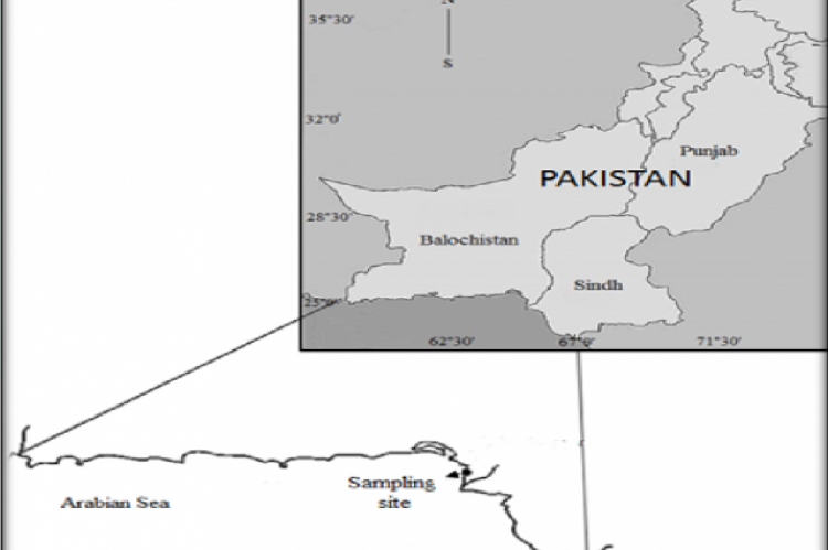 Map showing sampling site