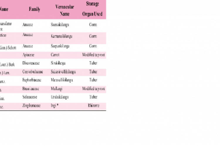 Bacteria Pathogens isolated from 224 Blood Cultures 