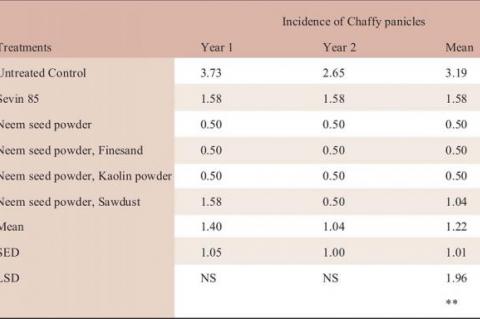 Effect of neem based pesticide on the incidence (%) of chaffy panicles 