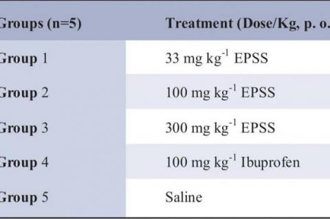Experimental groups and treatment given 