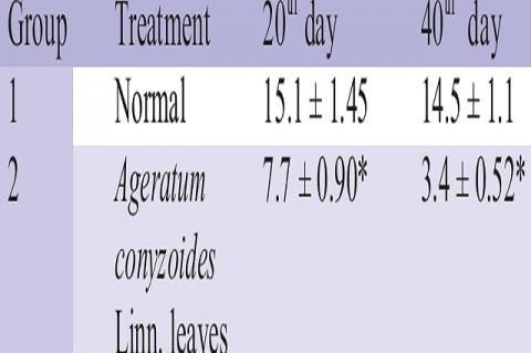 Effect of powdered leaves of Ageratum 