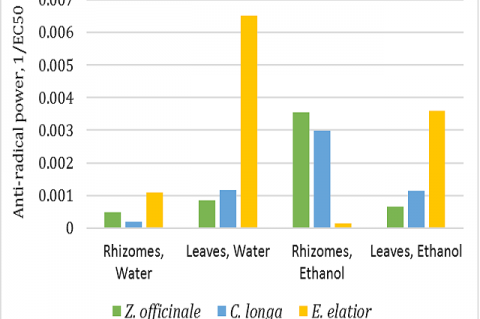 Antioxidant activity of the selected Zingiberaceae plants determined by DPPH Assay.