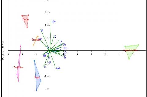 Loading plots for factor analysis showing different abiotic factors in five sampling sites