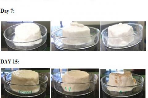 Stability of yoghurts