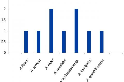 The cellulytic CMCase activity of recovered soil fungi