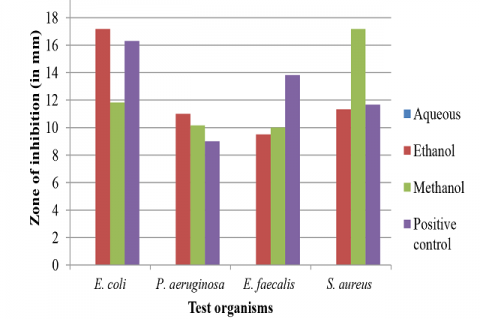 Mean zone of inhibition of crude leaf extracts of P. betle against E. coli, E. faecalis, S. aureus and P. aeruginosa.