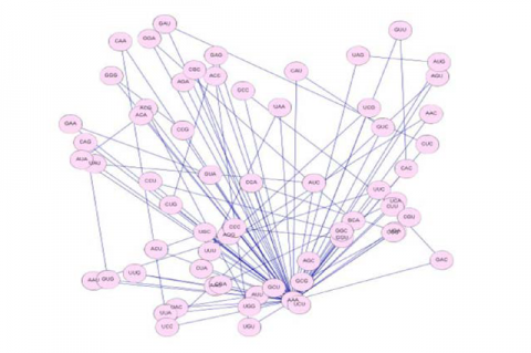 Identity graph of the 64 codons.