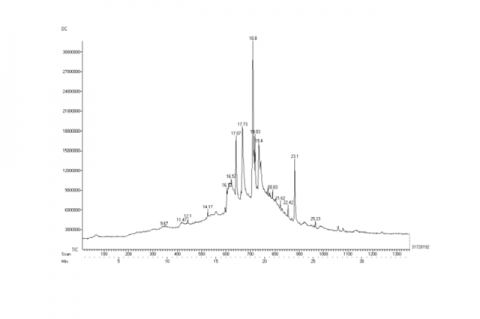 Major bioactive compounds detected in cooked BTB extract using GC-MS analysis