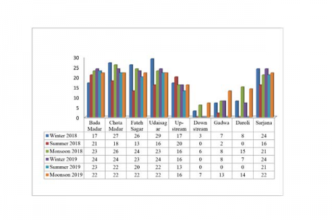 Seasonal occurrence of Phytoplankton in different water bodies of Berach river system.