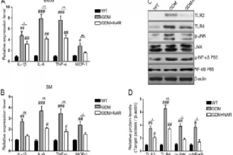 Supplementing mice with naringenin enhances their glucose and insulin tolerance