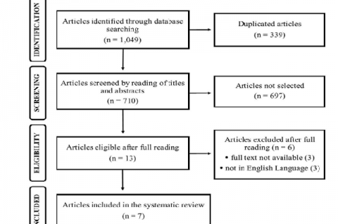 Schematic Diagram based on PRISMA recommendation.