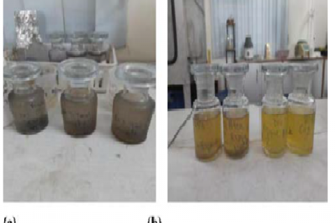 Untreated effluent before treatment (b) Untreated effluent after treatment