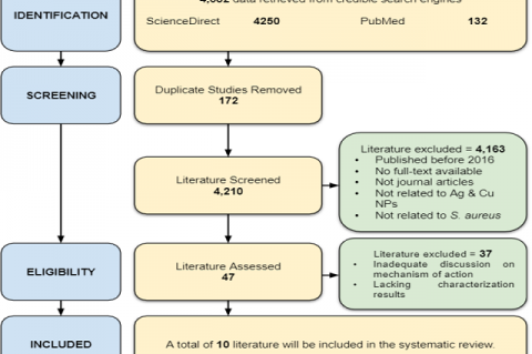 Literature Selection Process (PRISMA, 2020).