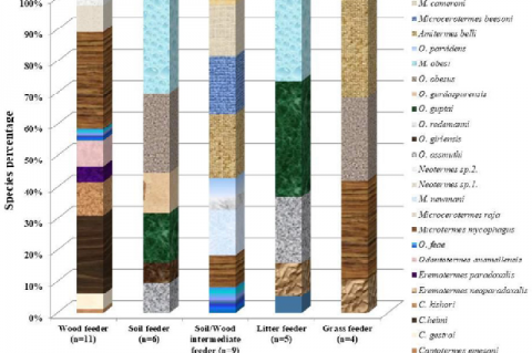 Relation between termite species (%) and its feeding groups.