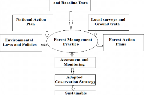 Action plan for sustainability and biodiversity conservation