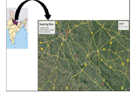 Sampling sites of present study.