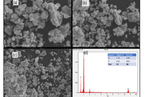 (a-c) SEM micrograph of ZnO NPs as shown in different magnification, (d) EDAX of Db5 nanoparticles.