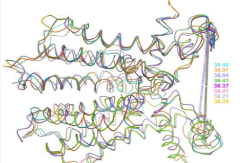 Distance comparison of tyrosine residues in superimposed dimer structures.