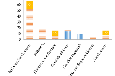 Gram positive organisms in different specimen