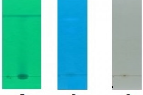 TLC chromatogram at 1) 254 wavelength, 2) 366 wavelength and 3) visible