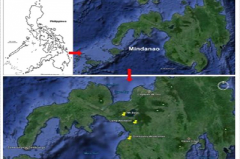 Geographical location of the study area.