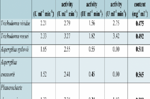 Enzyme activity of crude extract obtained from different cellulolytic fungi. 