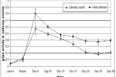 Glucose-6-phosphate dehydrogenase activity in larvae