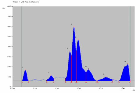 HPTLC chromatogram of methanol extract based on flavonoids 