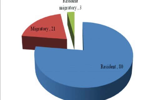 Status of birds species in Social Foresty Division, Bareilly