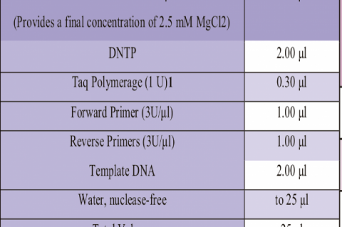 Reaction mixture used for assay development of the PCR 