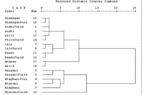 Cluster analysis based on all the traits