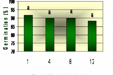 Effect of salt stress on maize germination percentage 