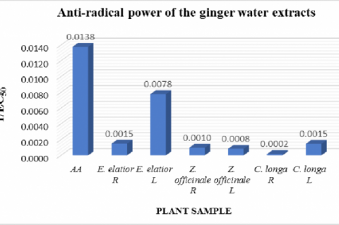 Anti-radical power (1/EC50) of the water extracts of the Zingiberaceae plants (R - Rhizomes; L - Leaves).