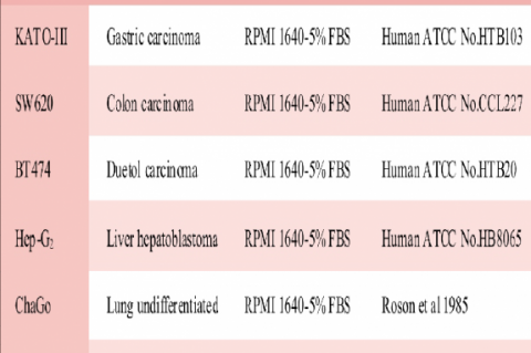 Tumor and cell lines 