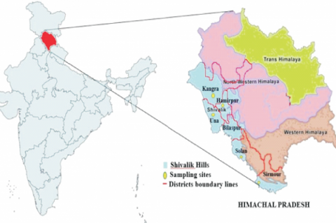 Map of Himachal Pradesh, India showing the Shivalik hills and sample area