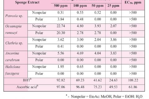 DPPH radical scavenging activity of the marine sponge extracts.