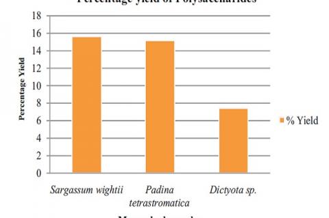 Percentage yield of polysaccharide from Macroalgae.
